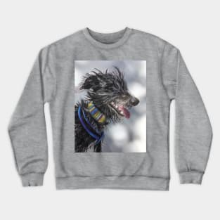 Beddy Whippet Scruffy Lurcher Crewneck Sweatshirt